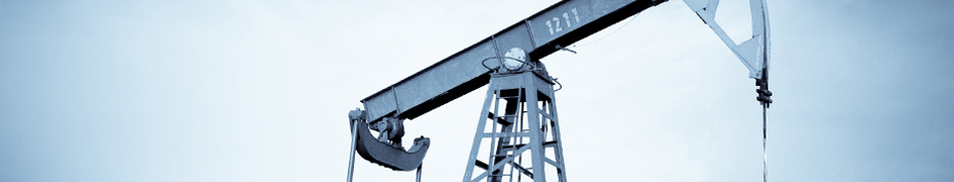 Oil & Gas  Property Tax Services